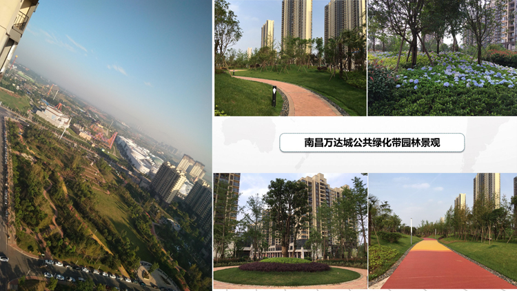 南昌萬達(dá)公共綠化_5.jpg