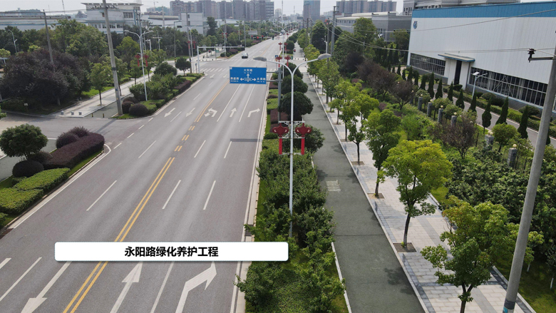 永陽路養(yǎng)護_5.jpg