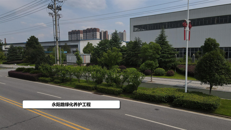 永陽路養(yǎng)護_4.jpg