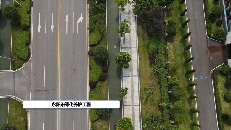永陽路養(yǎng)護_3.jpg